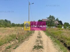 Teren Domnesti- Ciutaci